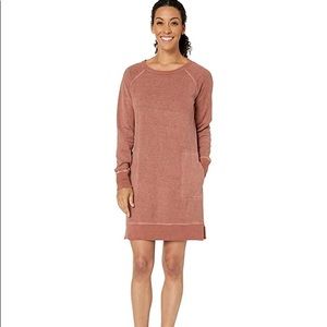 Toad and Co Epique LS dress